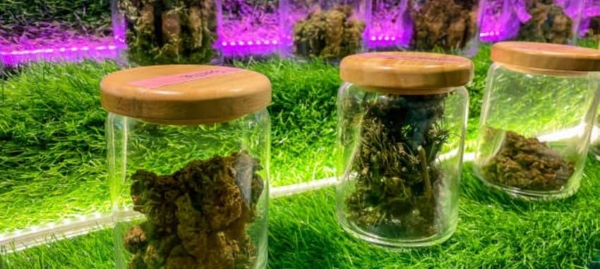 E-Zigarette user guide exposes myths and facts about e cigarettes harm and safety trends