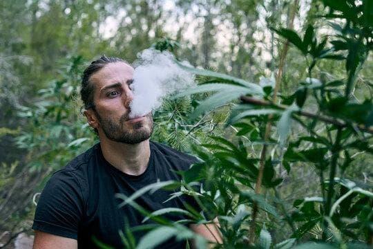 truc tiep bong đá Live Streams Explained and How electronic cigarette manufacturers Are Shaping the Global Vaping Economy